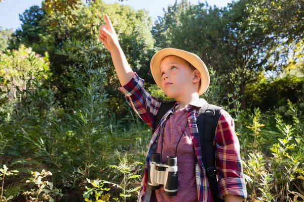 Αγόρι που δείχνει προς τα πάνω στο δάσος — Φωτογραφία Αρχείου