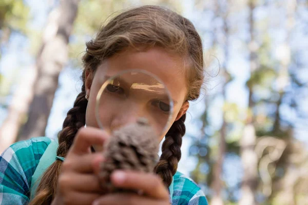 Girl looking at dry pine cone — Stock Photo, Image