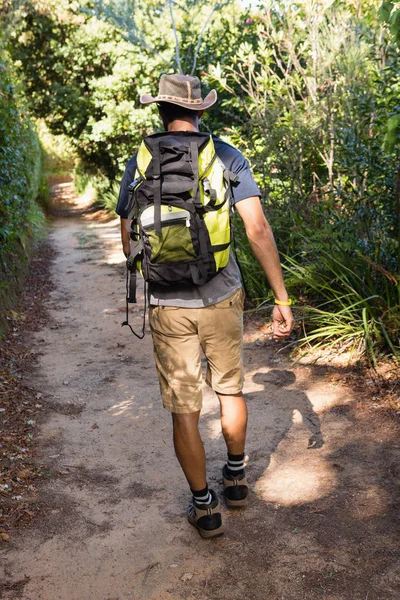 Man with backpack walking in the forest — Stock Photo, Image