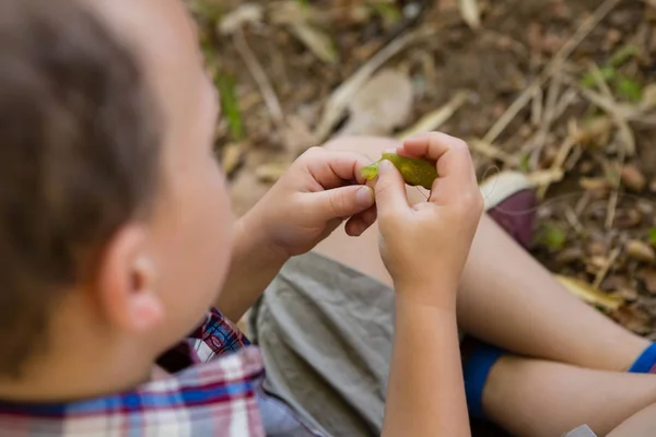 Niño preparando un cebo en el bosque —  Fotos de Stock