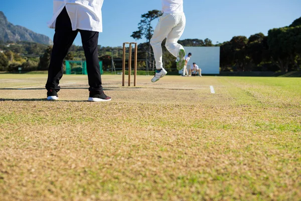 Equipo jugando al cricket en el campo —  Fotos de Stock