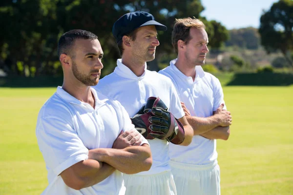 Jugadores de cricket de pie en el campo de hierba —  Fotos de Stock