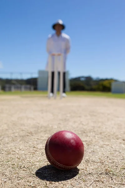 Bola de críquete em campo com árbitro — Fotografia de Stock