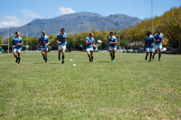 Equipo de rugby jugando partido —  Fotos de Stock