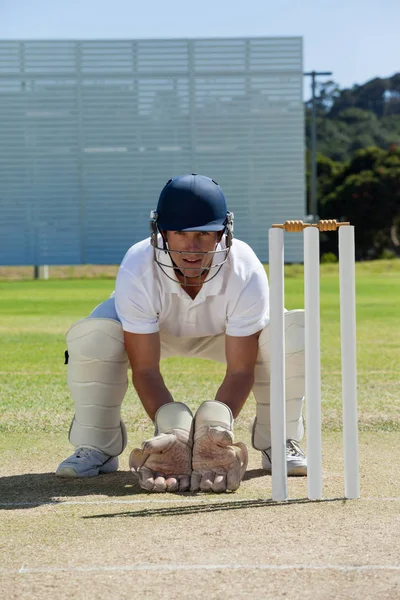 Wicketkeeper accovacciato dietro ceppi — Foto Stock