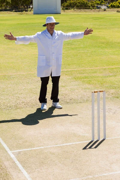 Cricket domare signalering brett bollen — Stockfoto