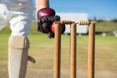 wicket keeper standing by stumps clipart