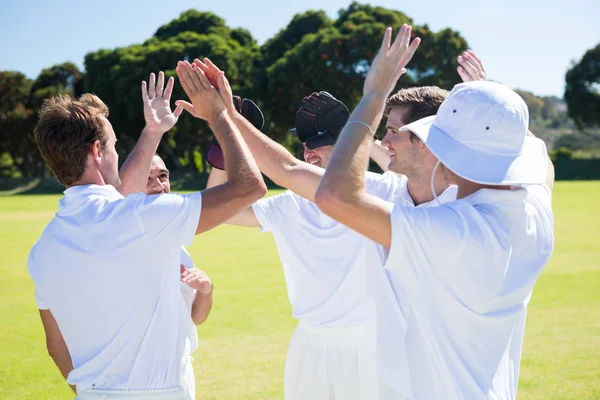 Jugadores de cricket celebrando ganar —  Fotos de Stock