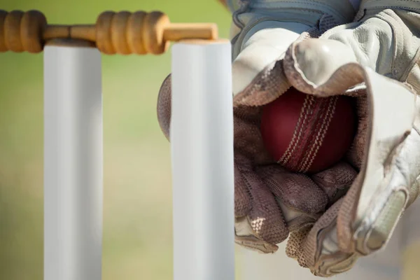 Hands of wicketkeeper catching ball — Stock Photo, Image