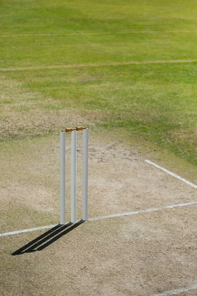 Tocones en el campo de cricket — Foto de Stock