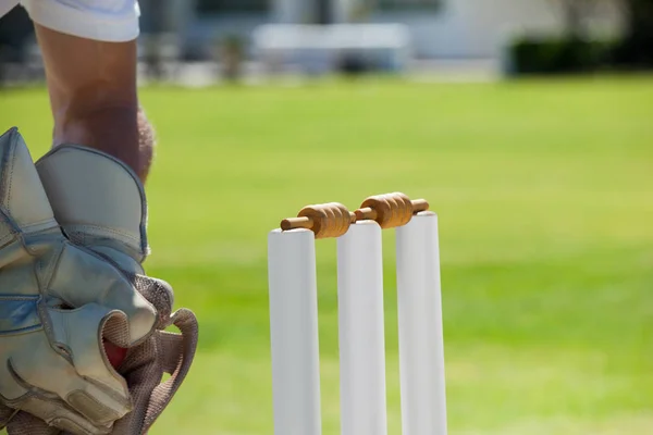 Wicketkeeper fange ball bak stumper – stockfoto