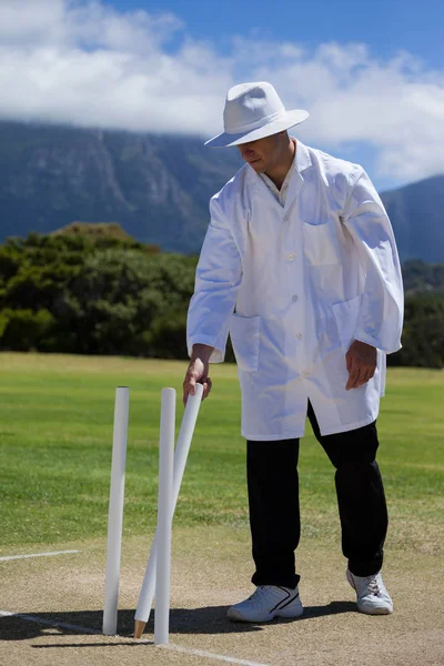 Umpire remover wicket no campo — Fotografia de Stock