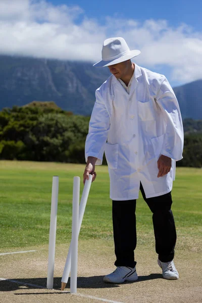 Umpire fjerne wicket på feltet - Stock-foto