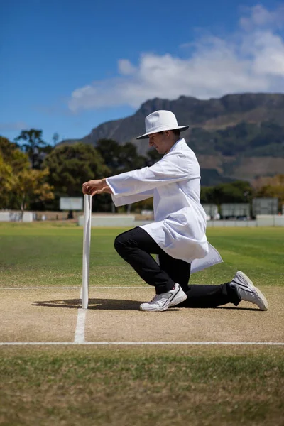 Wasit kriket menempatkan bails pada tunggul — Stok Foto