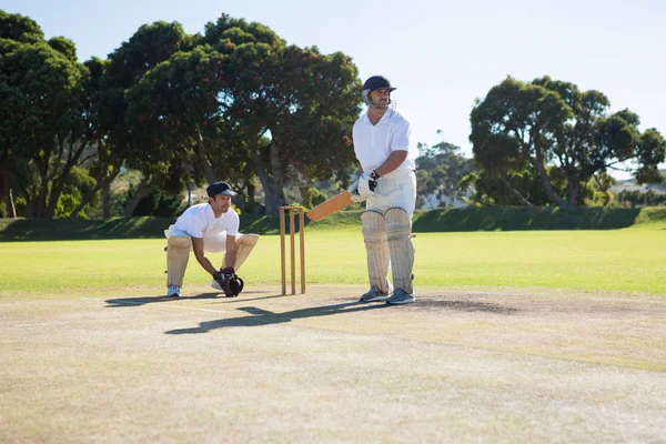 Hombres jugando cricket en pitch —  Fotos de Stock