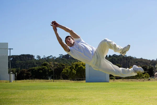 Player diving to catch ball — Stock Photo, Image