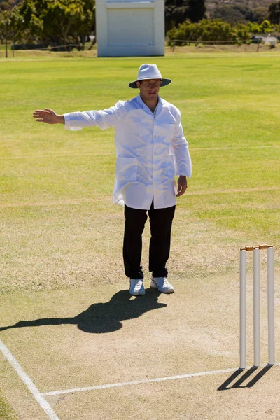 Cricket árbitro señalización ninguna bola durante el partido — Foto de Stock