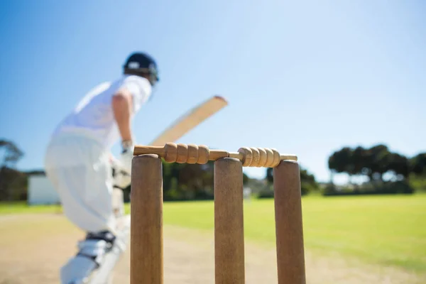 Batsman de pie en el campo — Foto de Stock