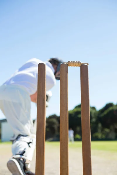 Batsman in piedi sul campo — Foto Stock