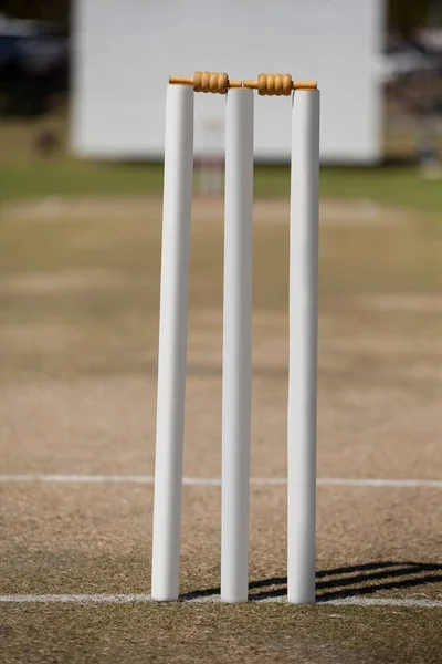 Vit stubbar på cricket field — Stockfoto