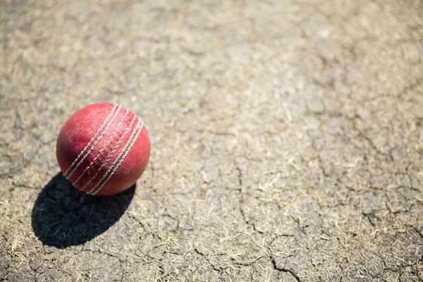 Bola de críquete em campo — Fotografia de Stock