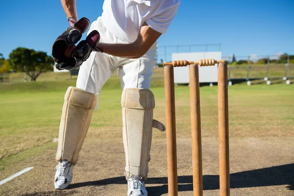 Wicket keeper stående ved stubbe - Stock-foto