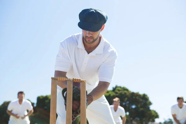 Wicket keeper standing by stumps — Stock Photo, Image