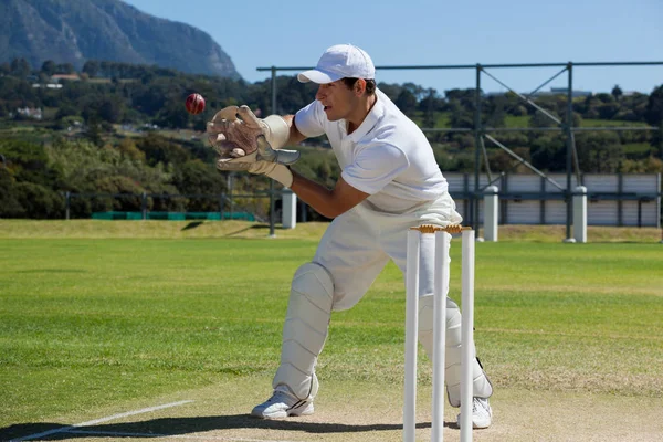 Gardien attrapant balle de cricket — Photo