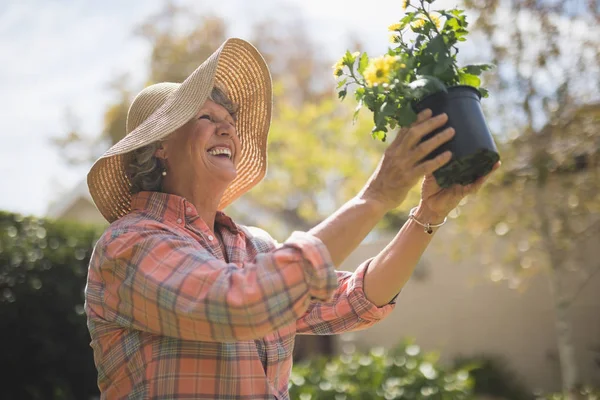 鉢植えの植物を保持している年配の女性 — ストック写真