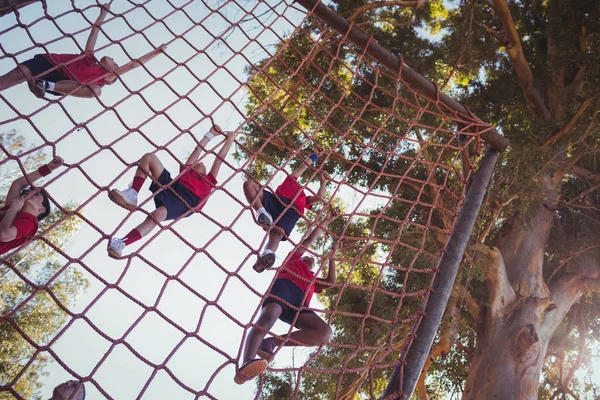 Kids climbing net Stock Photo by ©Wavebreakmedia 155148962