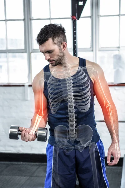 Strong man lifting weights — Stock Photo, Image