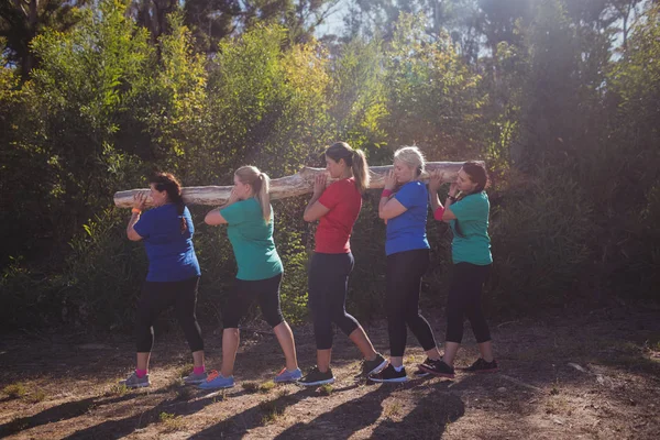 Femmes aptes portant bûche en bois — Photo