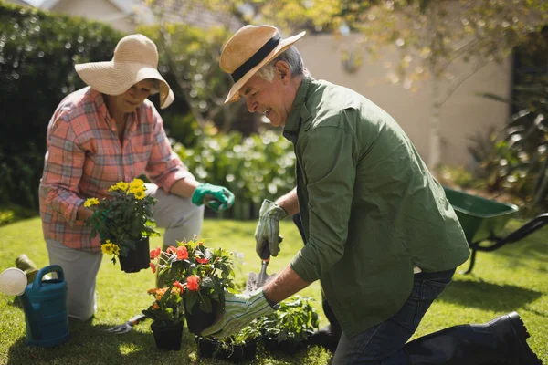 Äldre par gör trädgårdsarbete — Stockfoto