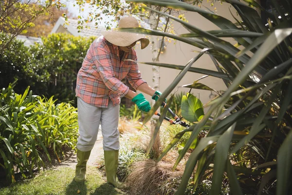 Mujer mayor haciendo jardinería —  Fotos de Stock