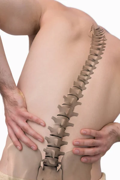 Columna vertebral masculina con dolor de espalda —  Fotos de Stock