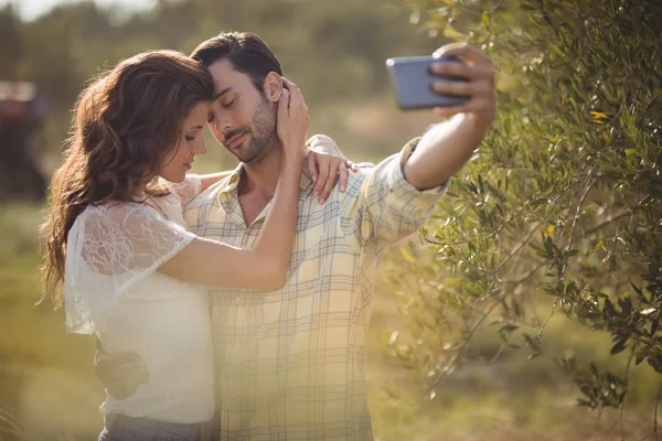 Pareja romántica tomando selfie por árbol — Foto de Stock