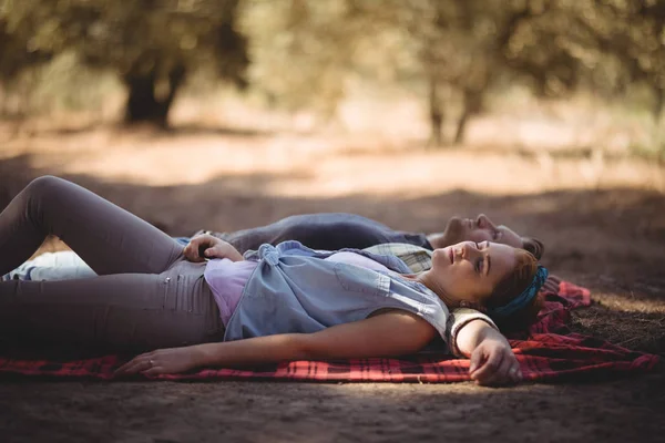 Пара дремлет на коврике на оливковой ферме — стоковое фото