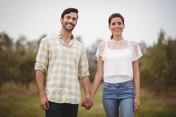 Couple tenant les mains à la ferme oléicole — Photo