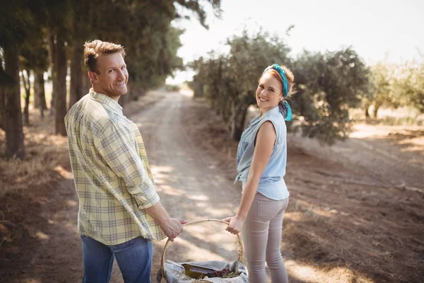 Couple carrying basket in field at olive farm — Stock Photo, Image