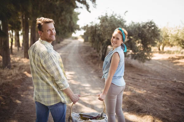 Casal transportando cesta no campo na fazenda de azeitona — Fotografia de Stock