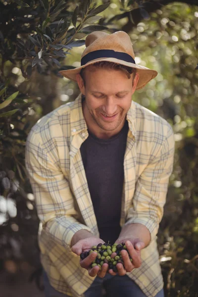 Hombre sosteniendo aceitunas mientras está parado junto a los árboles — Foto de Stock