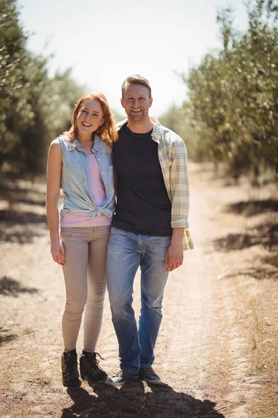 Par stående på olivgård solig dag — Stockfoto