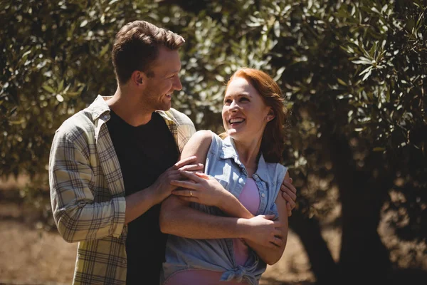 Lekfull ungt par njuter på olivgård — Stockfoto