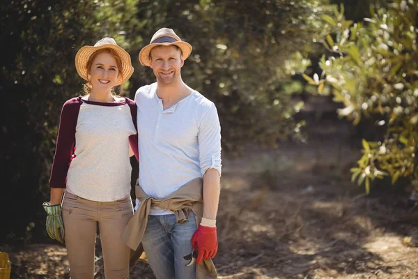 Couple debout à la ferme d'olivier le jour ensoleillé — Photo