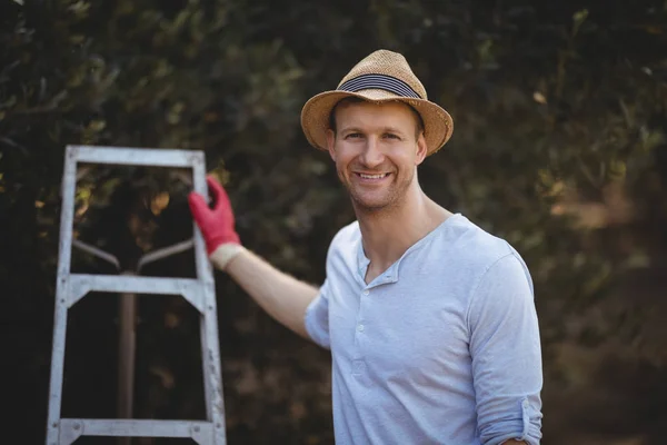 Mann mit Leiter steht auf Olivenbauernhof — Stockfoto