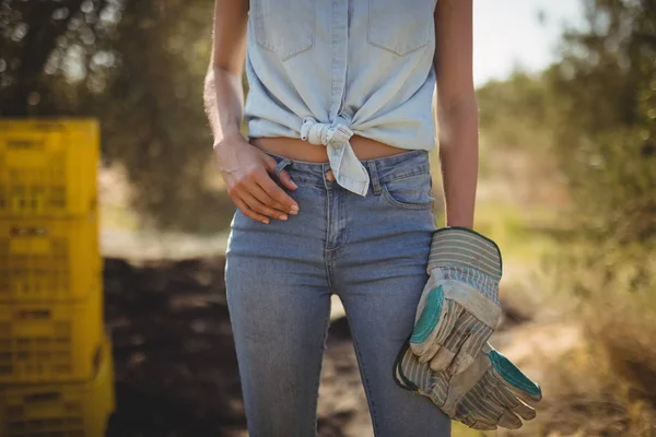 Mujer con guantes de pie en la granja de olivos — Foto de Stock