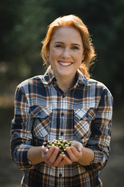 Azeitonas de exploração feminina na exploração agrícola — Fotografia de Stock