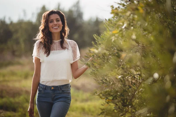 Žena stojící stromy na farmě oliv — Stock fotografie