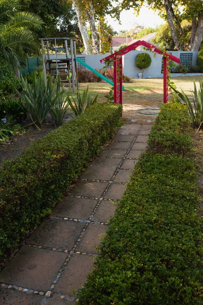 Sendero vacío en medio de plantas — Foto de Stock