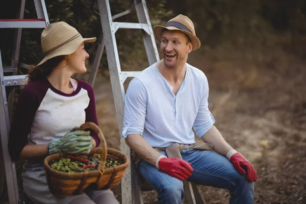 Couple parlant tout en étant assis sur des échelles — Photo